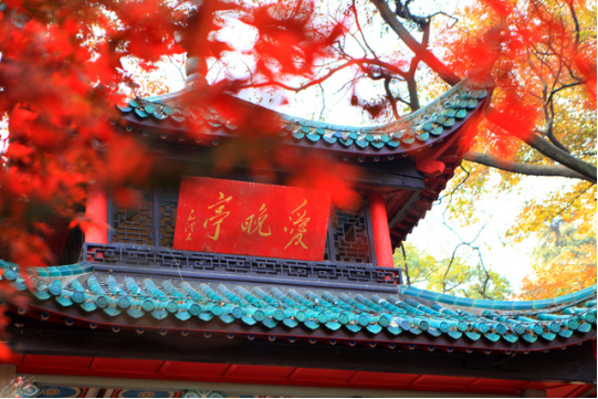 &#27431;&#23453;&#32593;&#39029;&#29256;&#30331;&#24405;&#20837;&#21475;&#45;&#27431;&#23453;&#40;&#20013;&#22269;&#41;